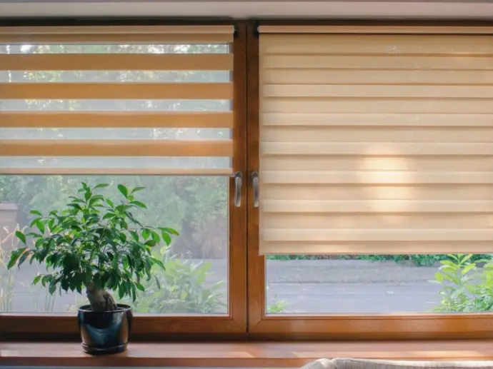 Layered zebra shades on a window